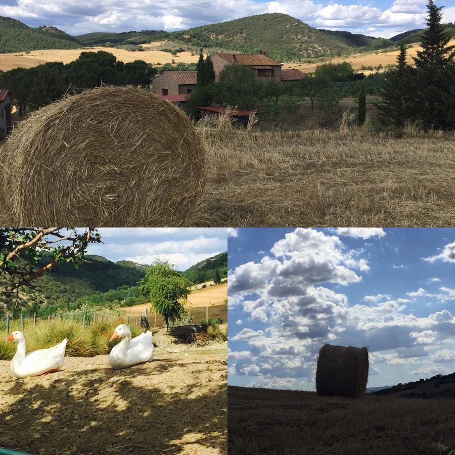 פיינצה Agriturismo Santa Maria מראה חיצוני תמונה